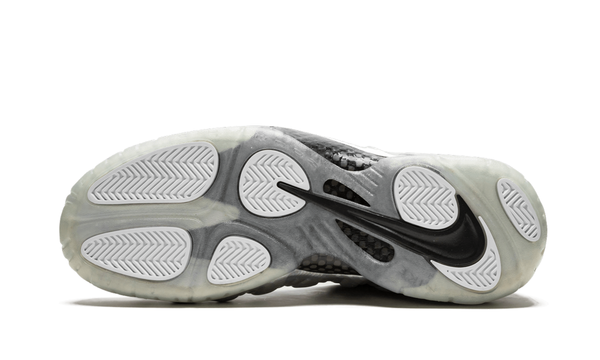 Air Foamposite Pro "Silver Surfer" 616750 004