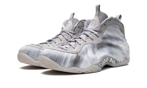 Air Foamposite One "Dream a World - Grey" DM0115 001